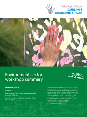 Environment sector workshop summary cover